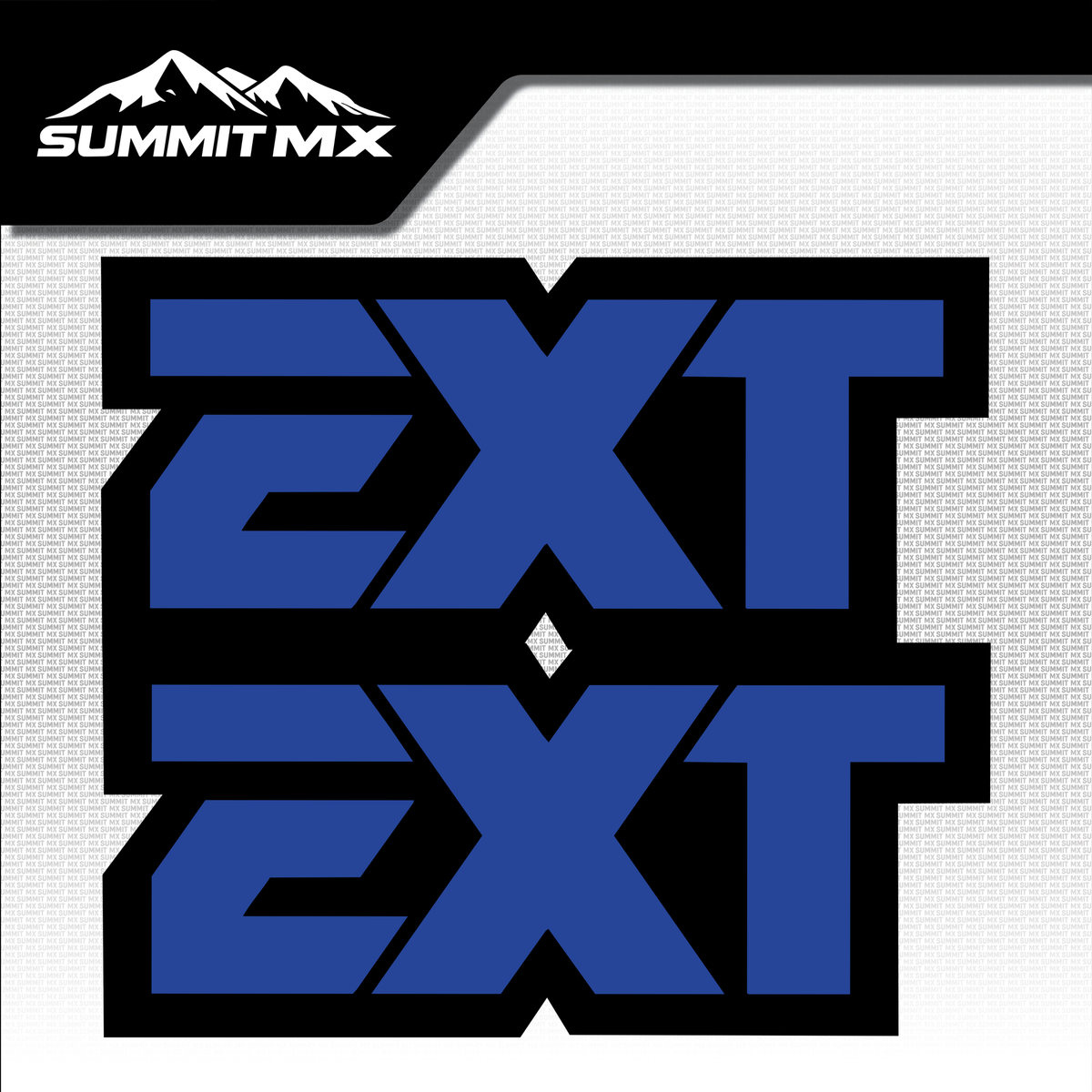 EXT fork tube decal logo design variation 9 — Summit MX