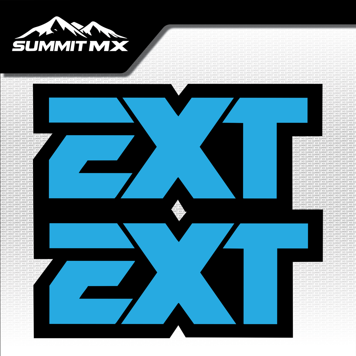EXT fork tube decal logo design variation 10 — Summit MX