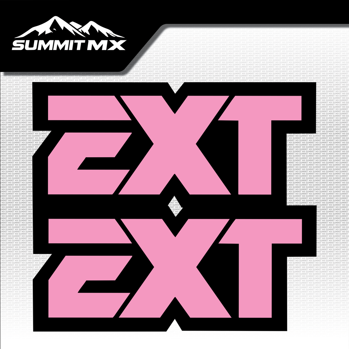 EXT Fork Tube Decal — view 12