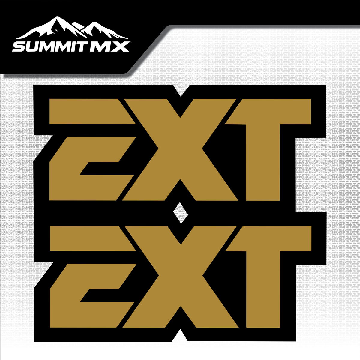 EXT fork tube decal logo design variation 3 — Summit MX
