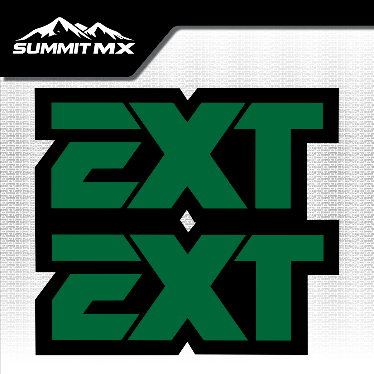 EXT fork tube decal logo design variation 5 — Summit MX