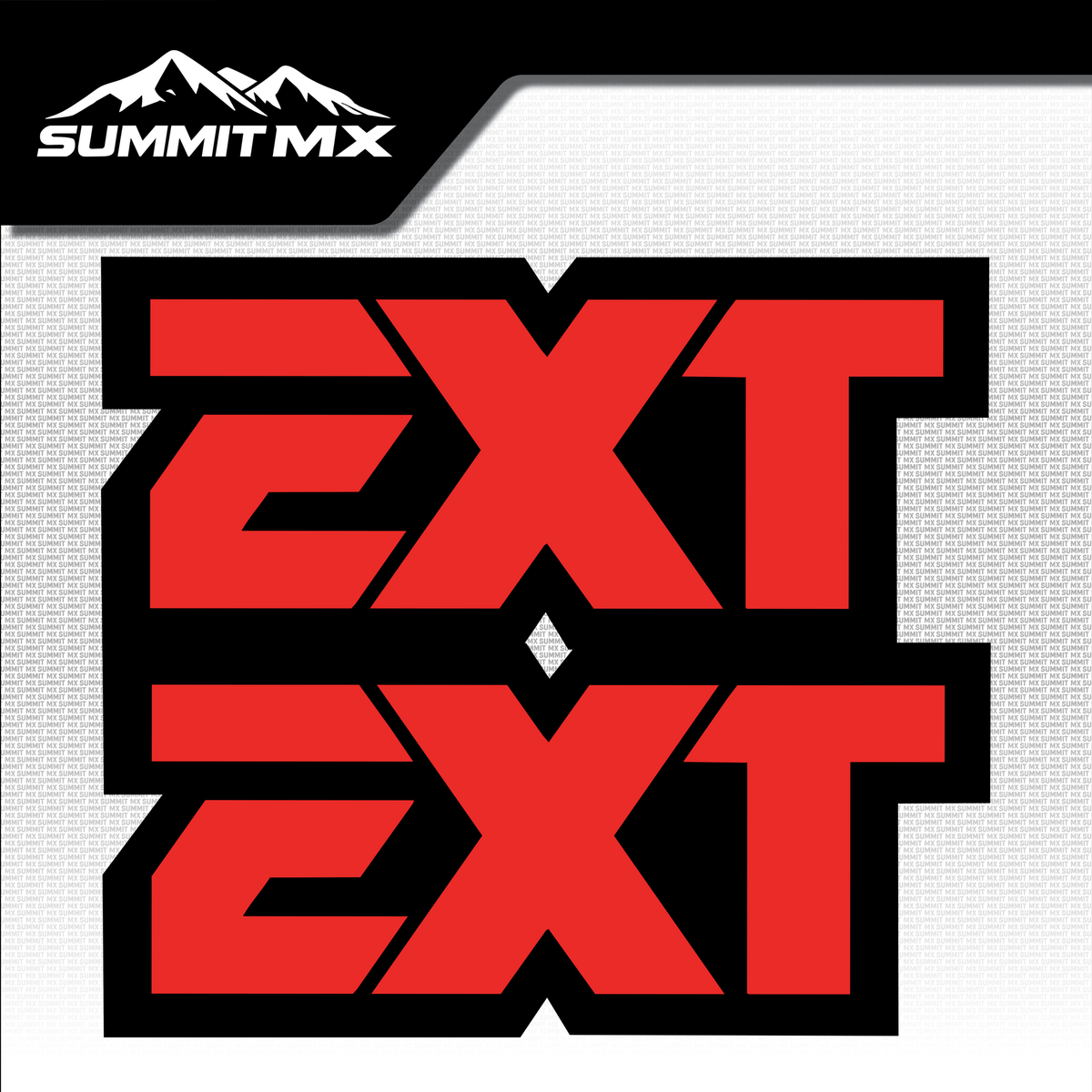 EXT fork tube decal logo design variation 6 — Summit MX