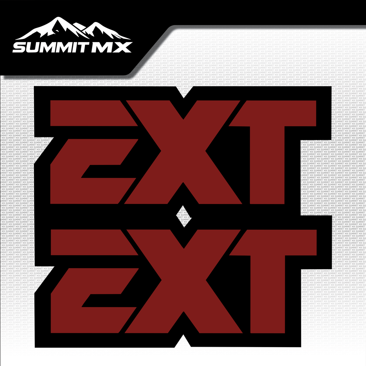 EXT fork tube decal logo design variation 7 — Summit MX