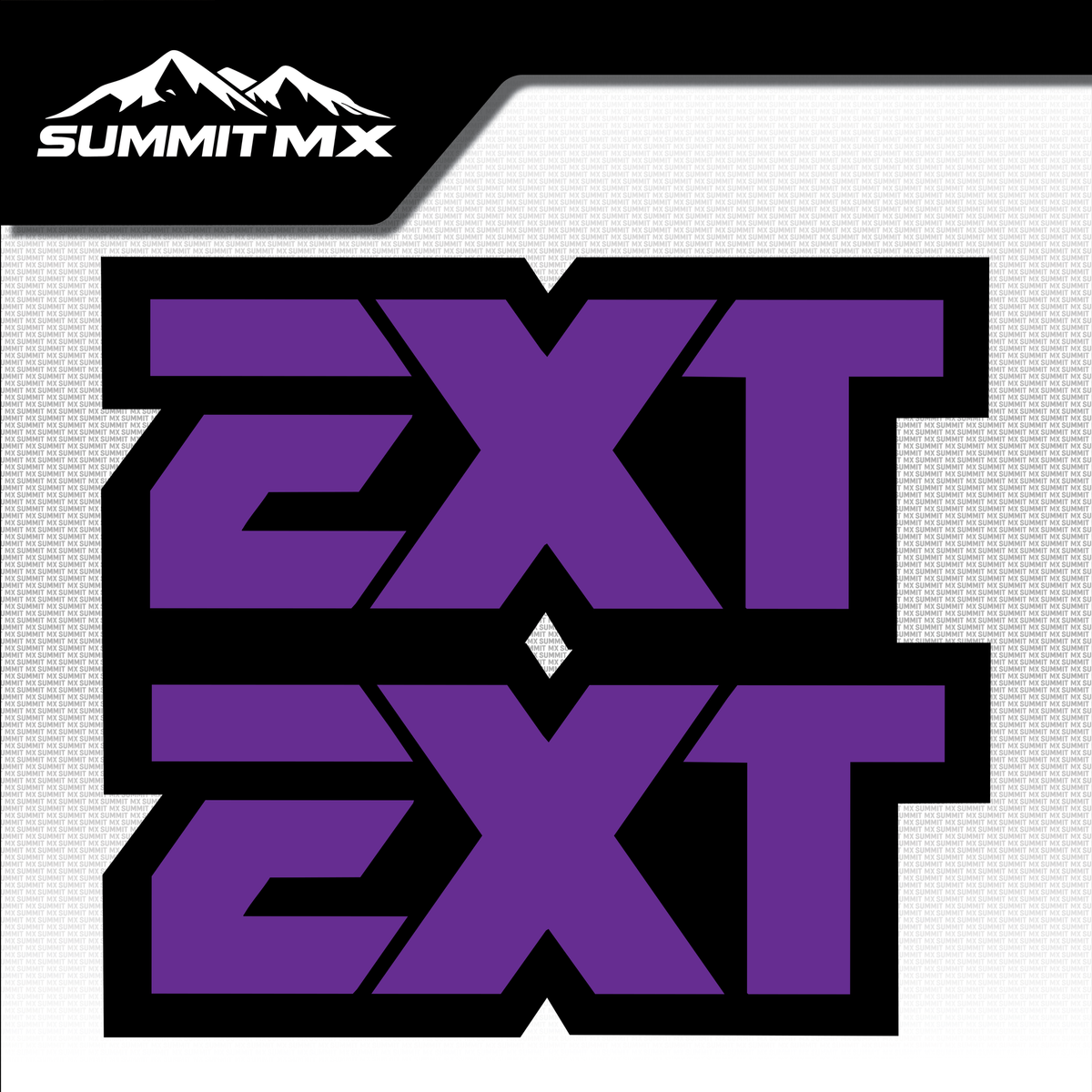 EXT fork tube decal logo design variation 8 — Summit MX