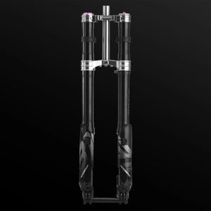 RFloXa Hawk31 Pro Fork, view 3