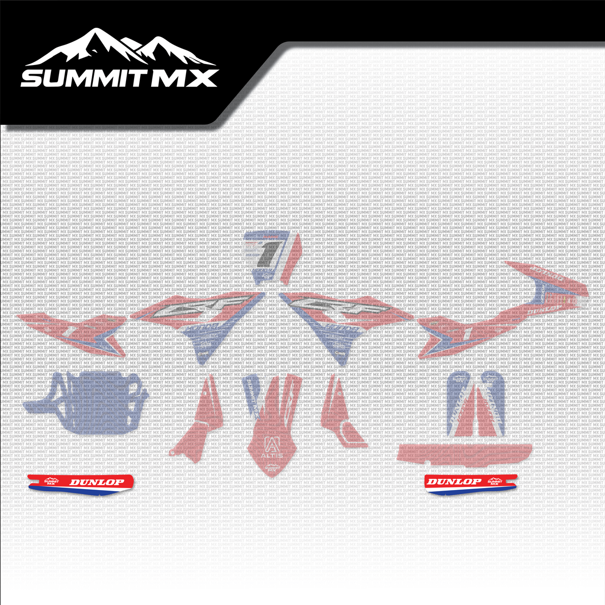 Honda Inspired Altis Delta Swing Arm Decal placement on the full kit