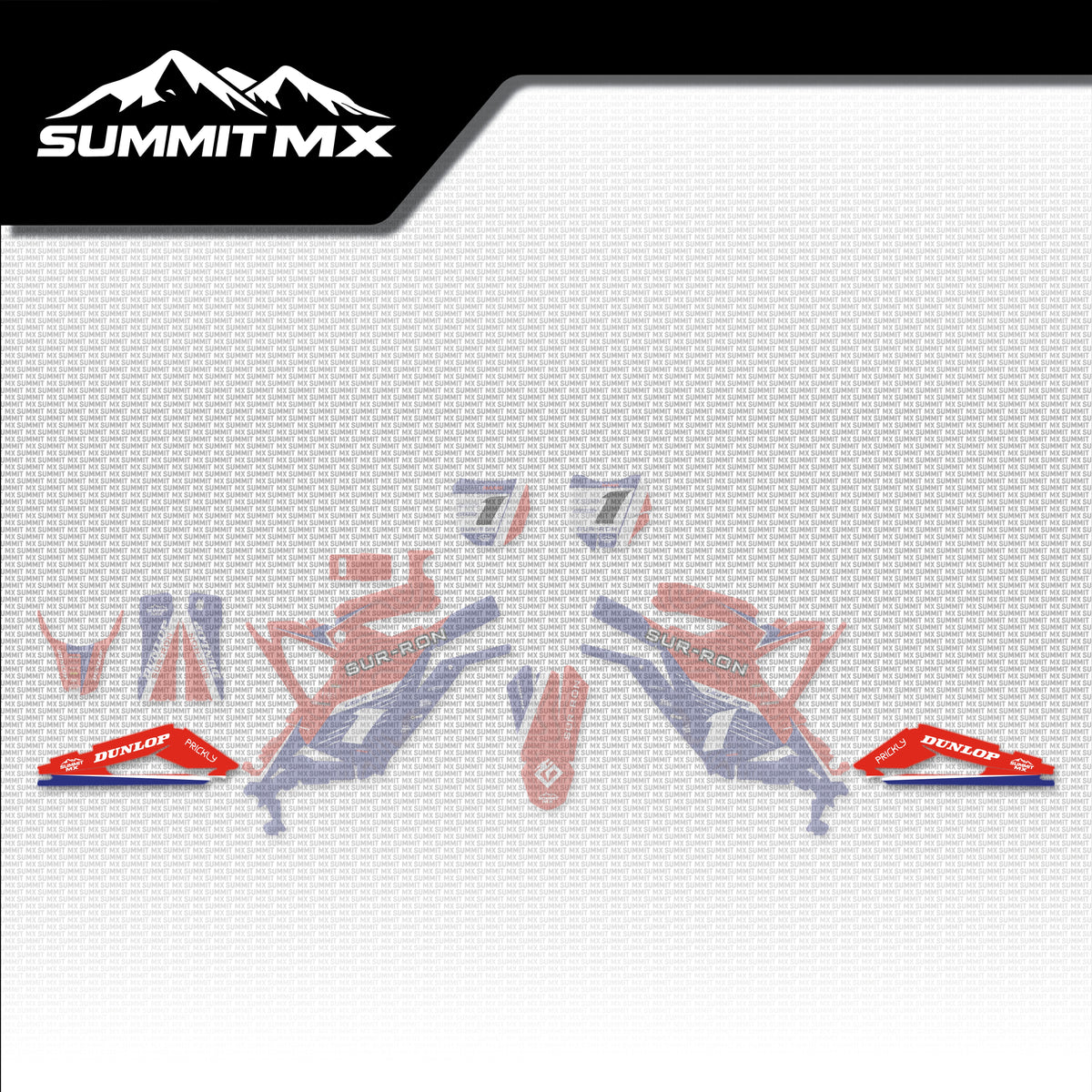 Honda Inspired Light Bee Swing Arm Decals placement on the full kit