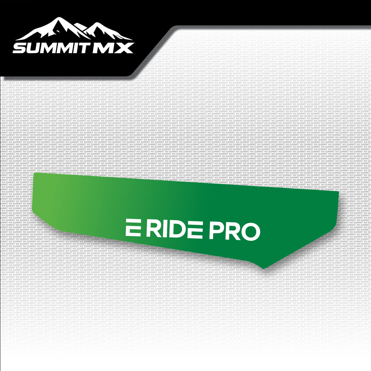 Kawasaki Inspired E-Ride Pro Chain Guard Decal