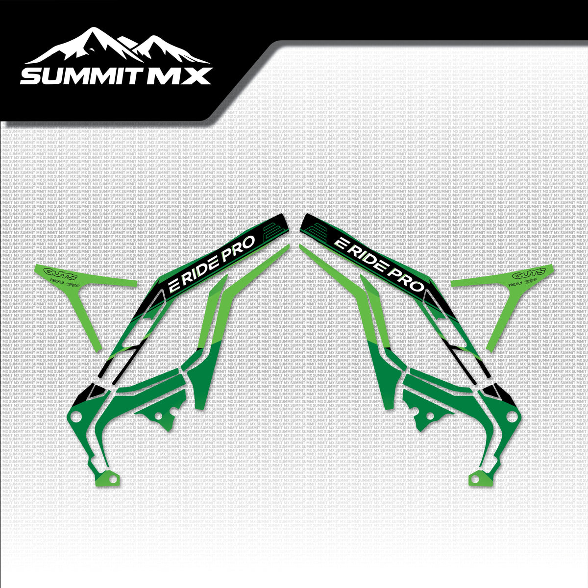Kawasaki Inspired E-Ride Pro Frame Decals